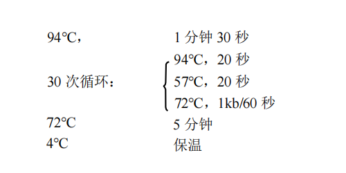 常用PCR 循環(huán)