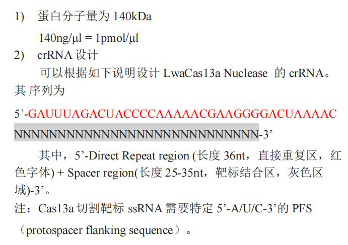 LwaCas13a Nuclease使用說明