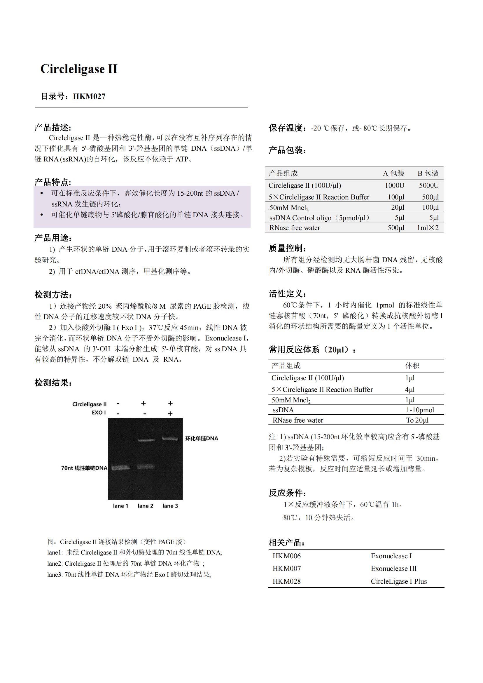 Circleligase Ⅱ（環(huán)狀連接酶）產品說明書