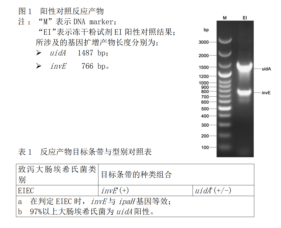 EIEC多重PCR檢測(cè)試劑盒結(jié)果判斷