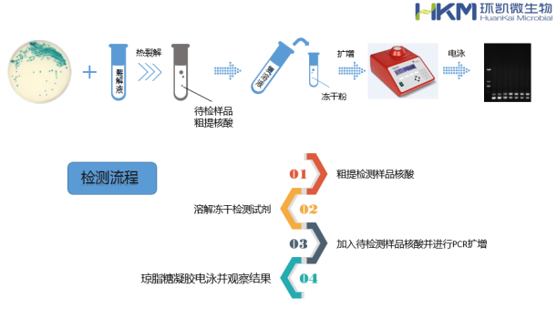 環(huán)凱微生物快檢試劑盒操作示意圖