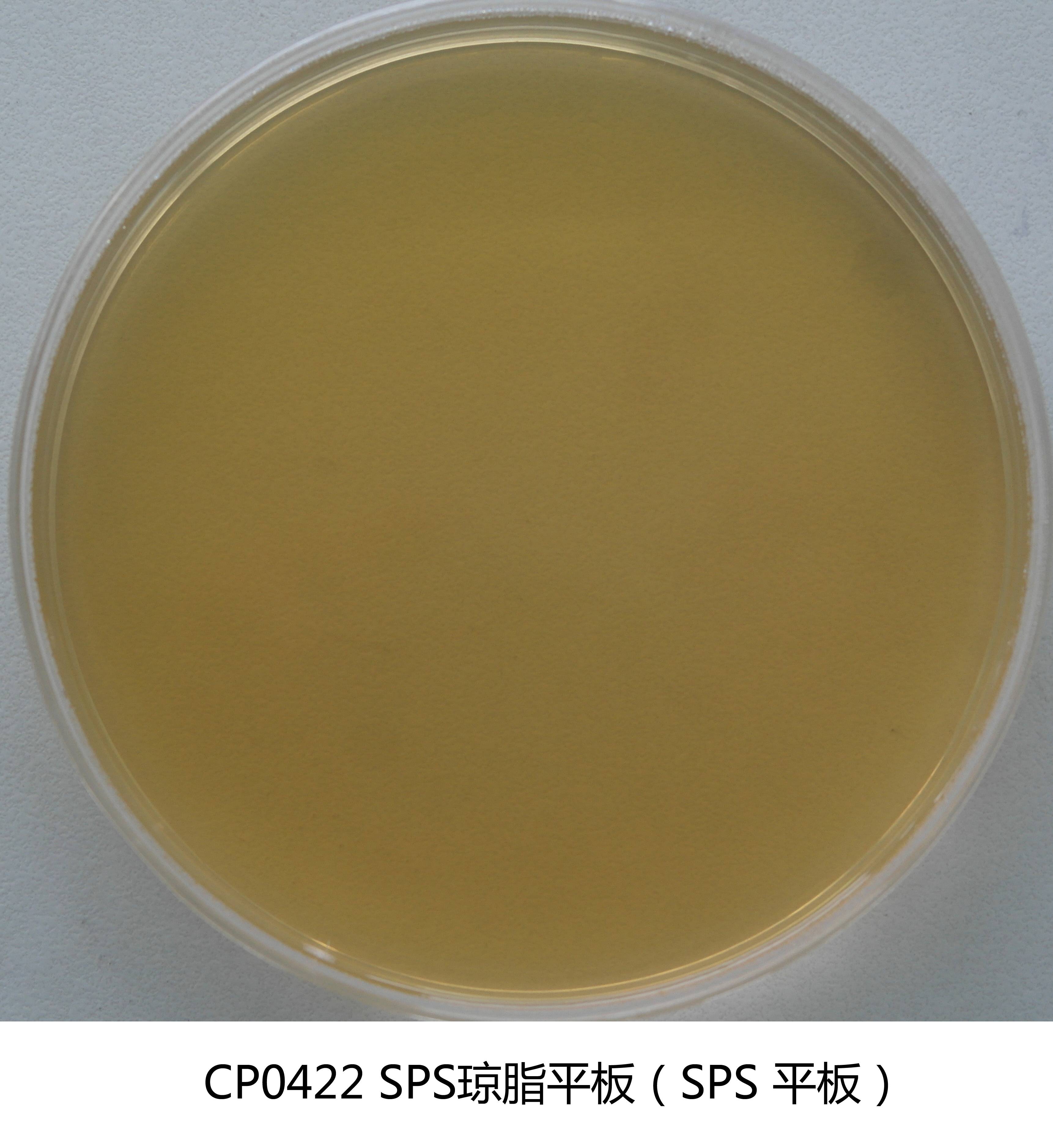 SPS瓊脂平板培養(yǎng)基(亞硫酸鹽-多粘菌素-磺胺嘧啶瓊脂) 90mm×20個