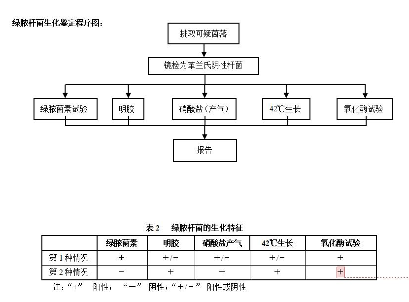 綠膿桿菌生化鑒定程序