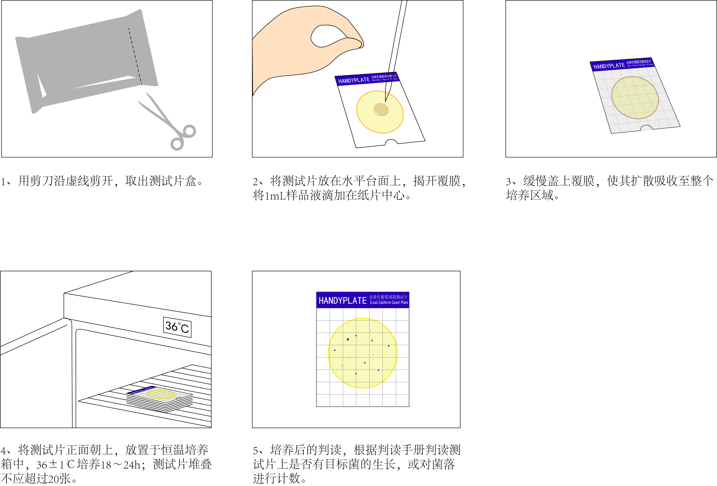 定量計(jì)數(shù)操作圖解