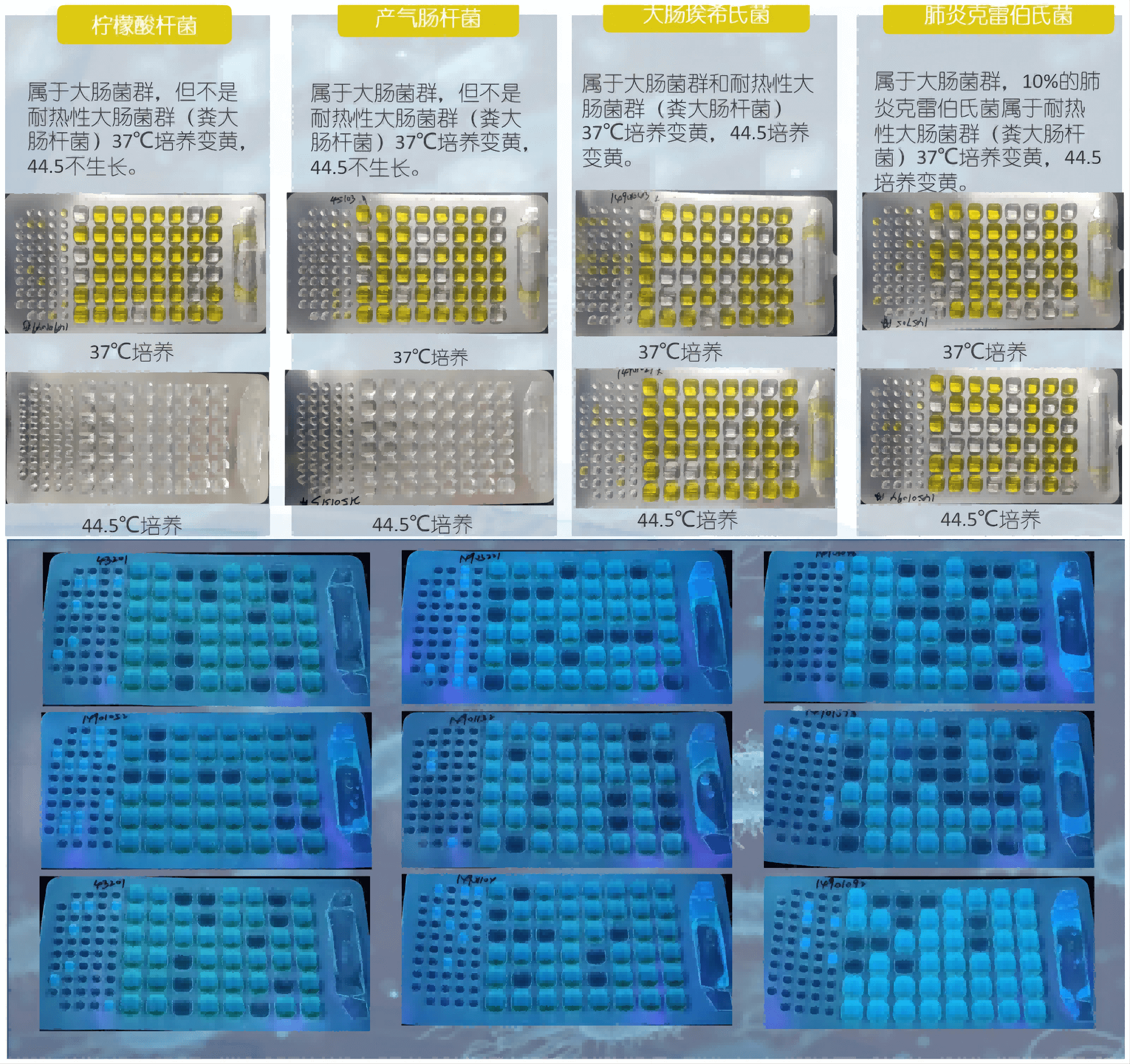 程控定量封口機結(jié)果判讀